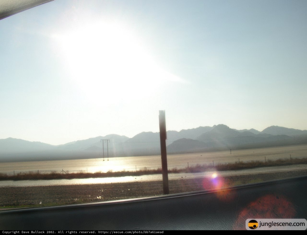 Sun-Kissed Ride