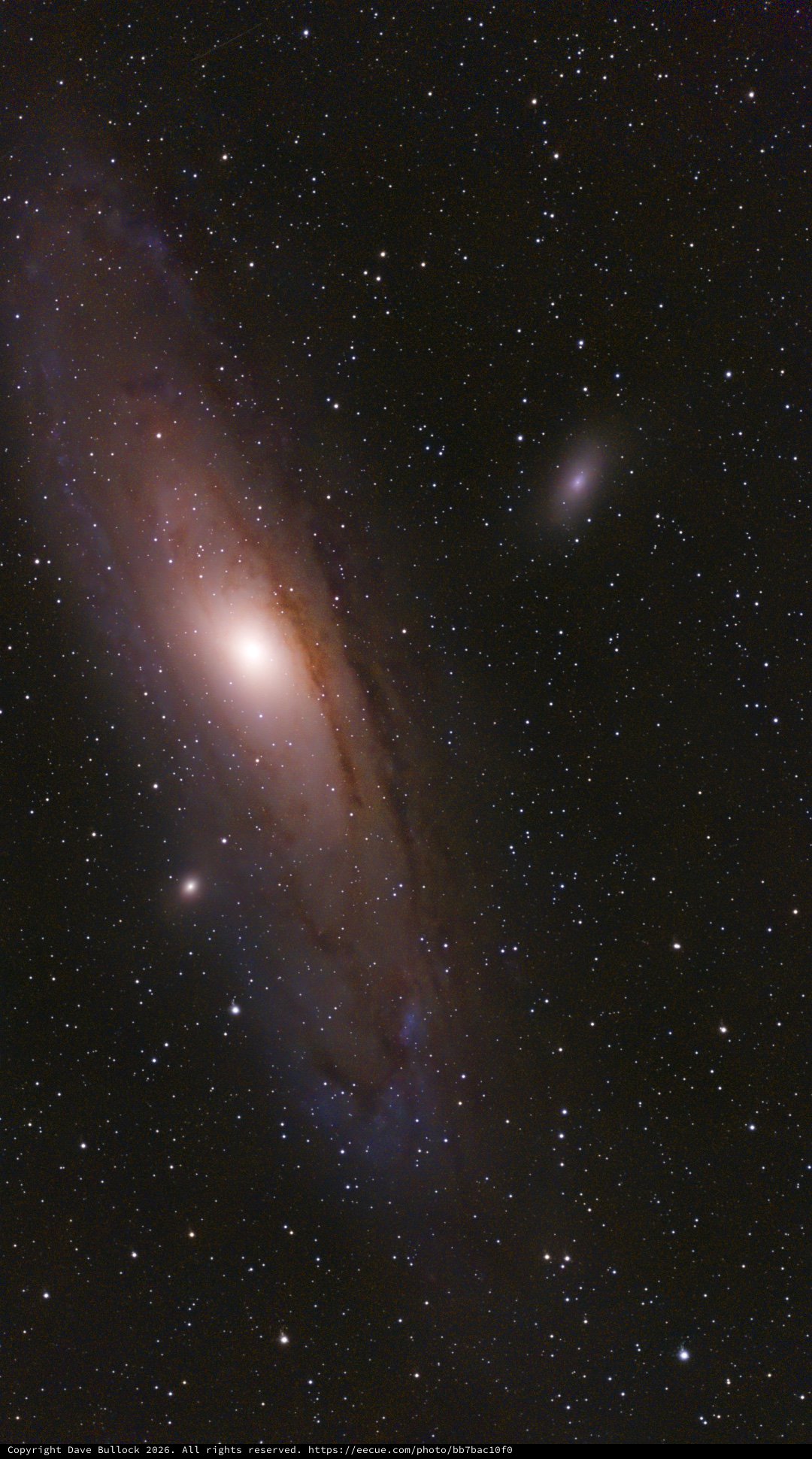 M31 Andromeda Galaxy Captured in Stunning Detail