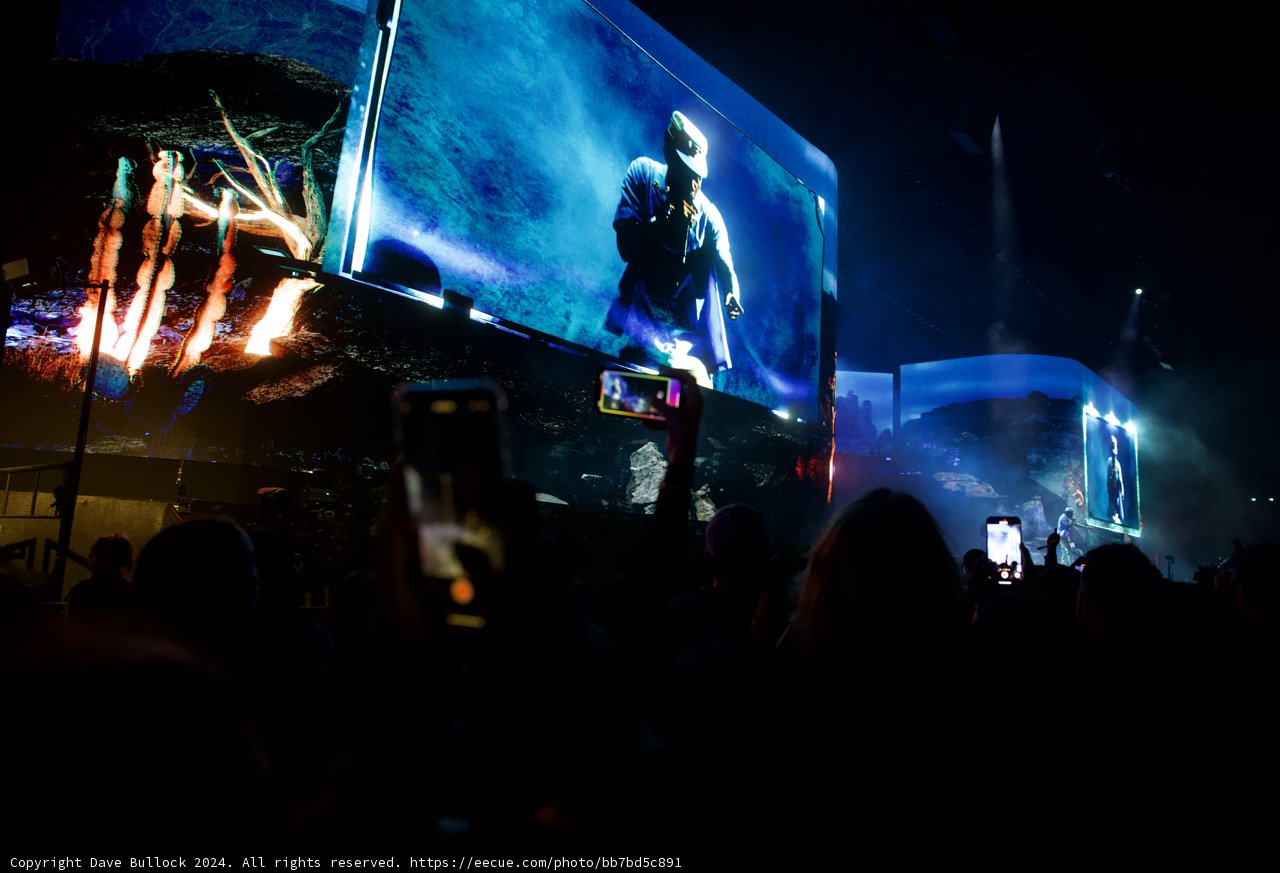 Electric Nights at Coachella 2024