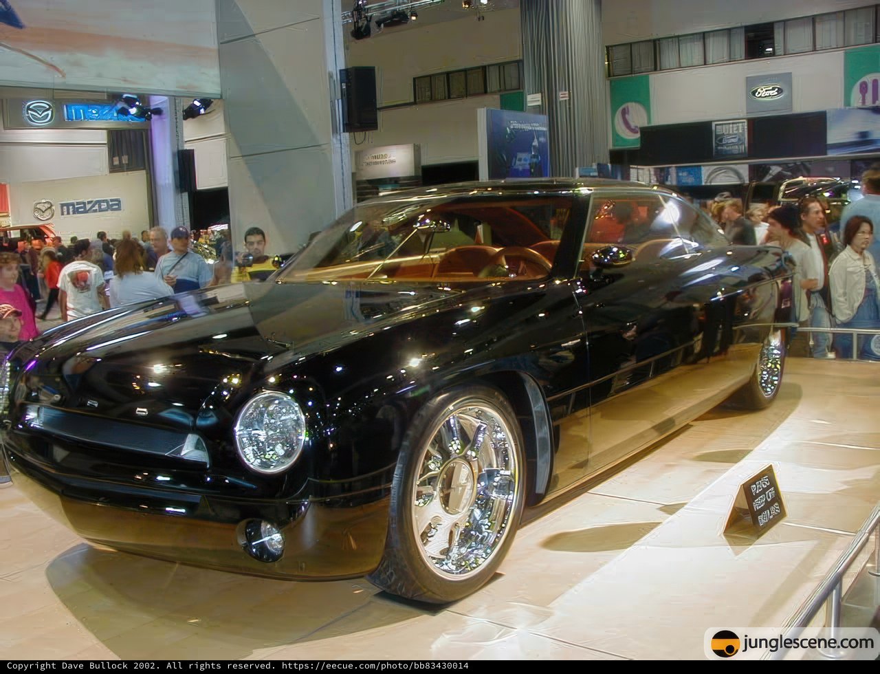 Black Convertible Sports Car at the LA Auto Show