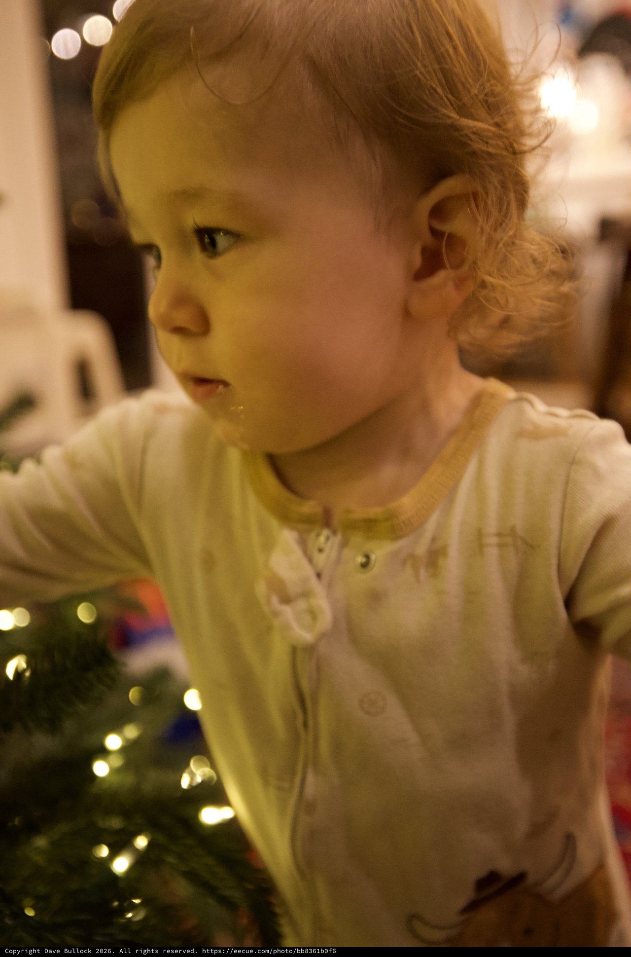 Young Child Mesmerized by Christmas Tree Lights
