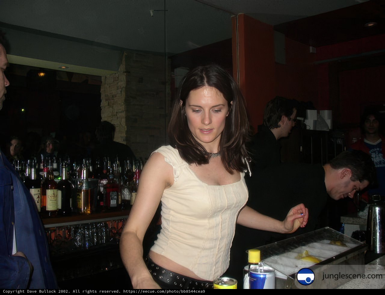 Sue Green behind the Pub Bar