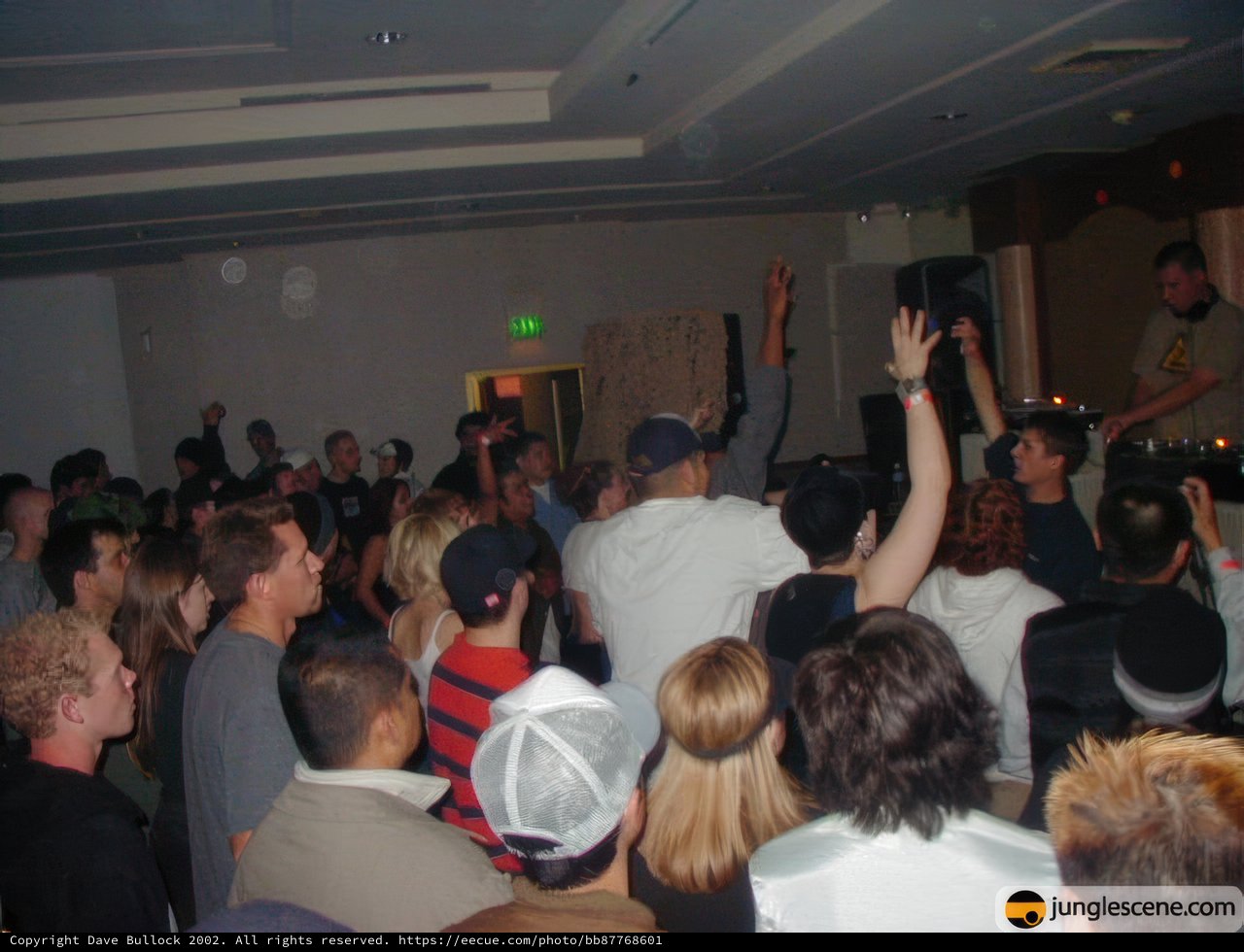 Night Club Crowd