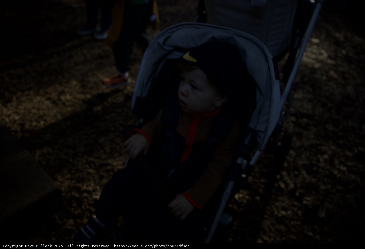 Autumn Stroll at Thistlewyck