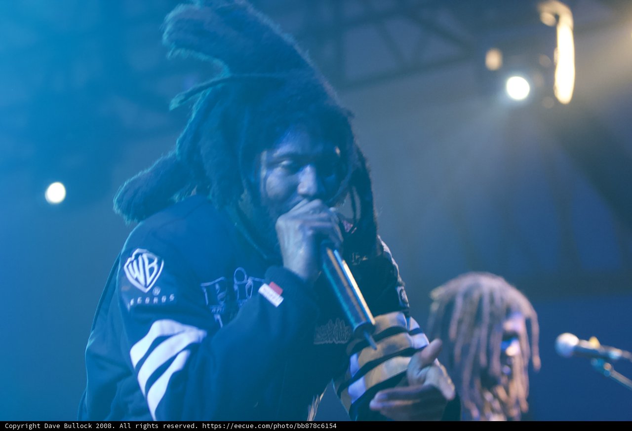 Coachella Performance by Dreadlocked Singer