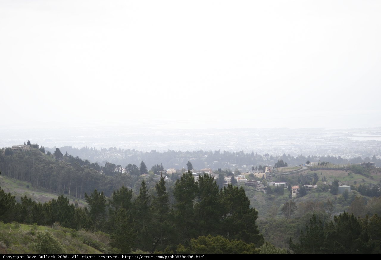 Cityscape Overlooking the Trees