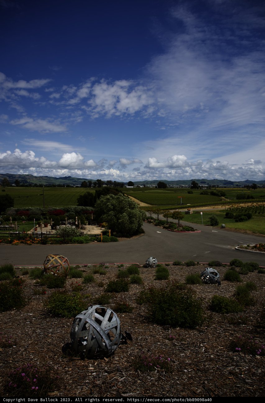 Exploring the Napa Valley Terrain
