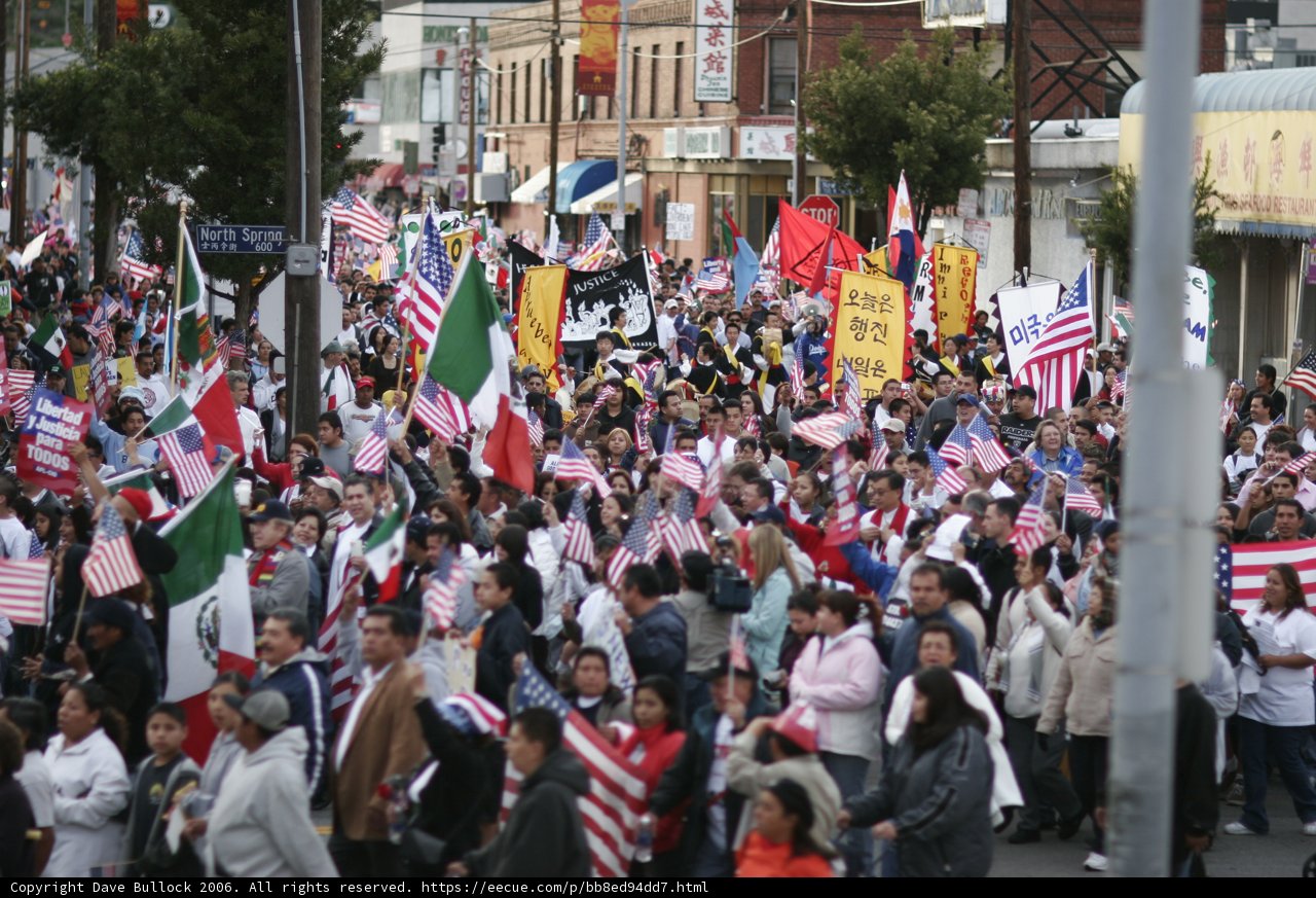 Patriotic Crowd in the City