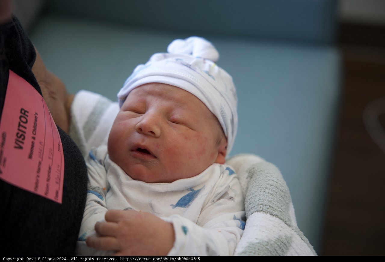 Welcome to the World, Leland