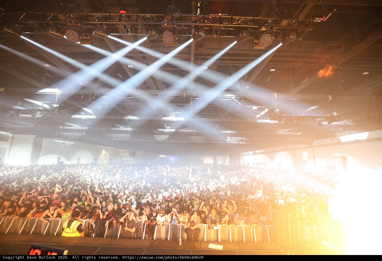 Massive EDM Crowd Illuminated by Laser Light Show