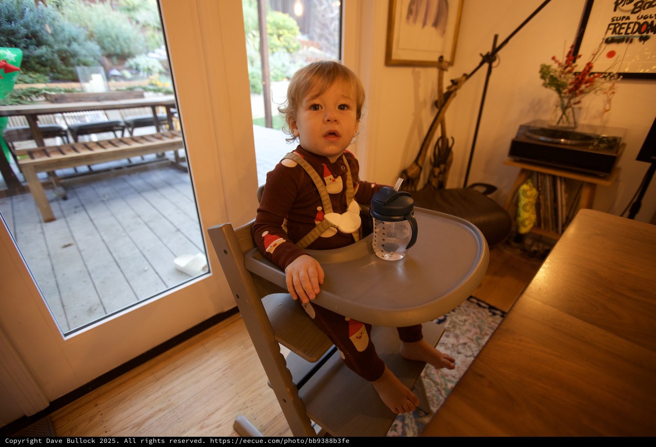 Toddler in High Chair During Christmas Celebration