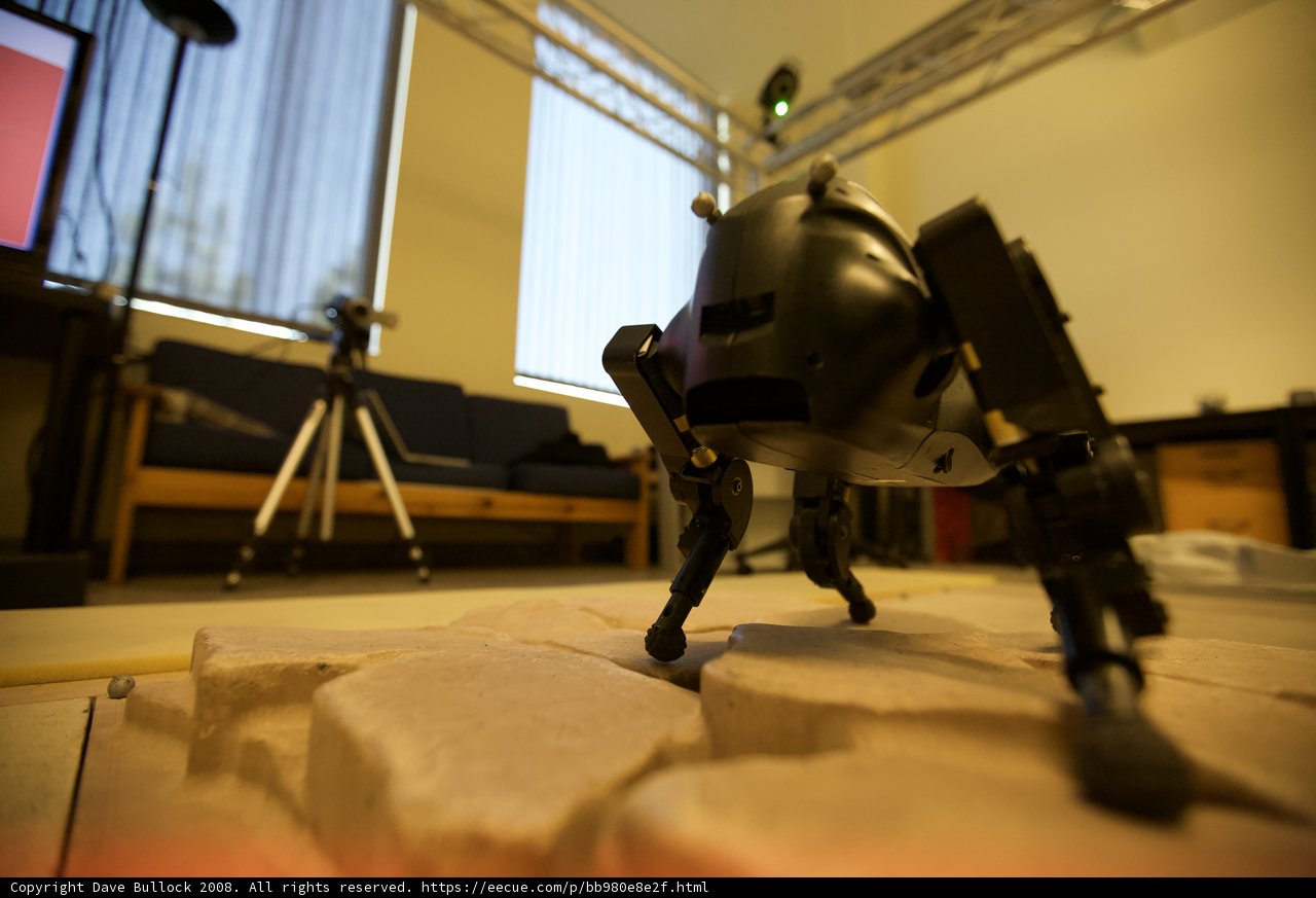 Robotic View