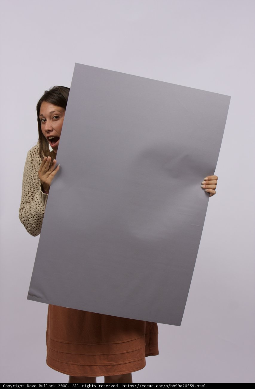 The Canvas of Creativity