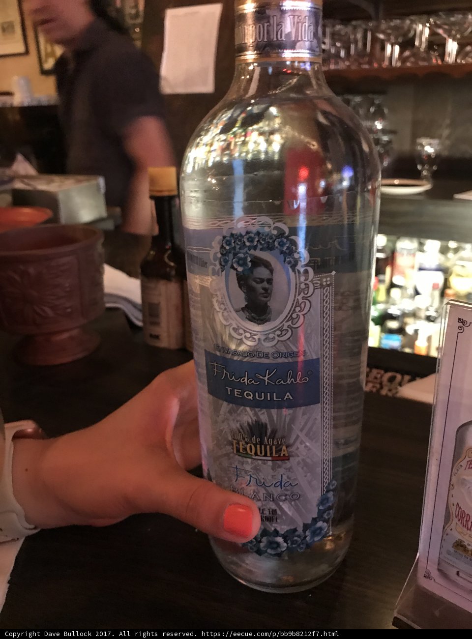 Frida Kahlo's Gin Night Out