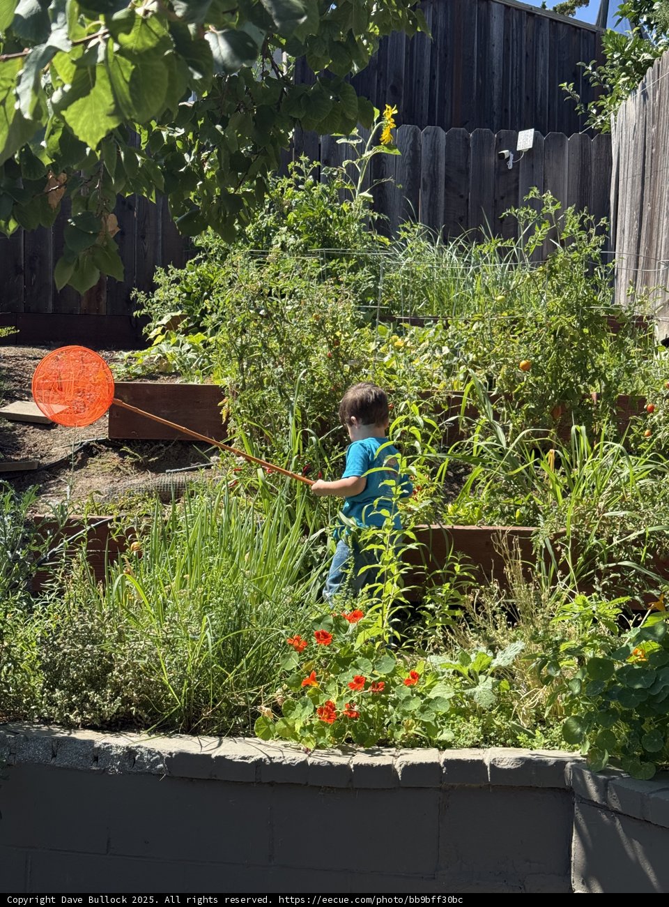 Garden Explorer