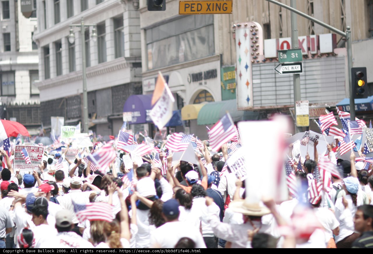 Patriotic Crowd Takes to the Streets