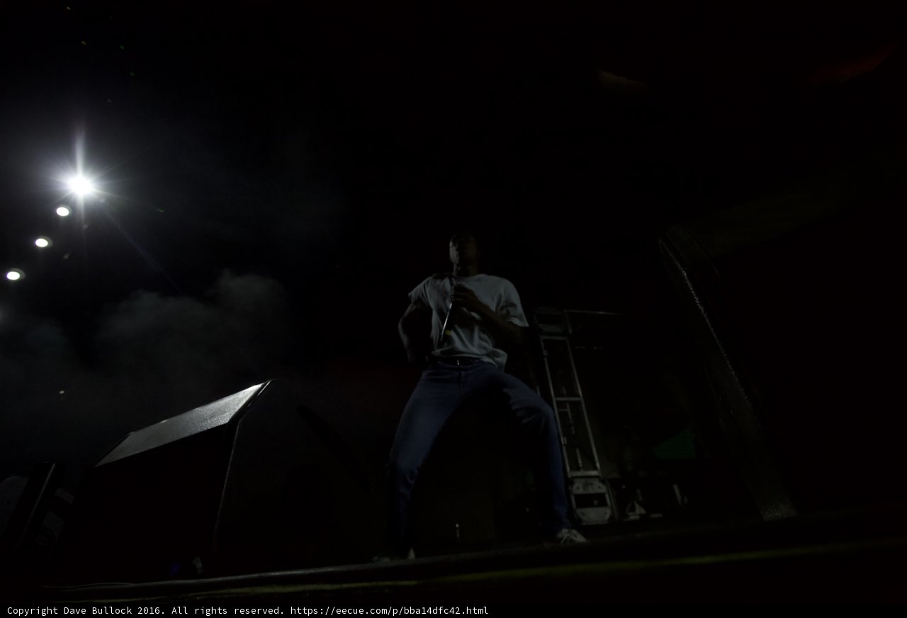 Spotlight on the Performer