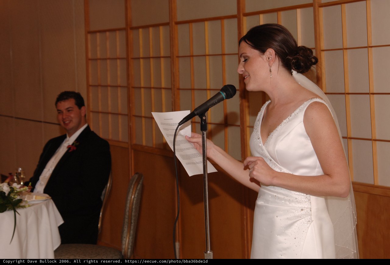 Bride Delivers Heartfelt Speech at Wedding Reception