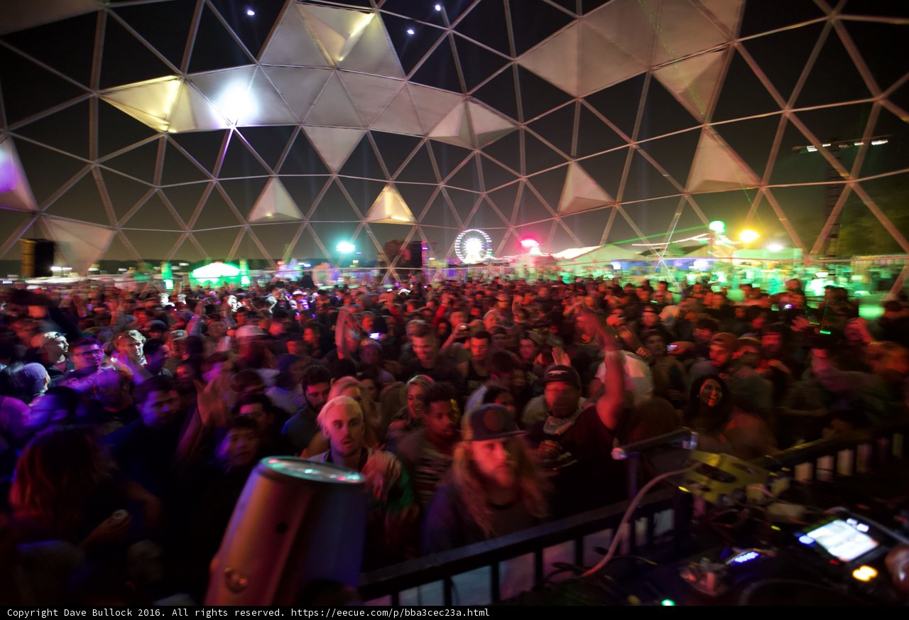 Urban Nightlife: A Crowd at a Concert