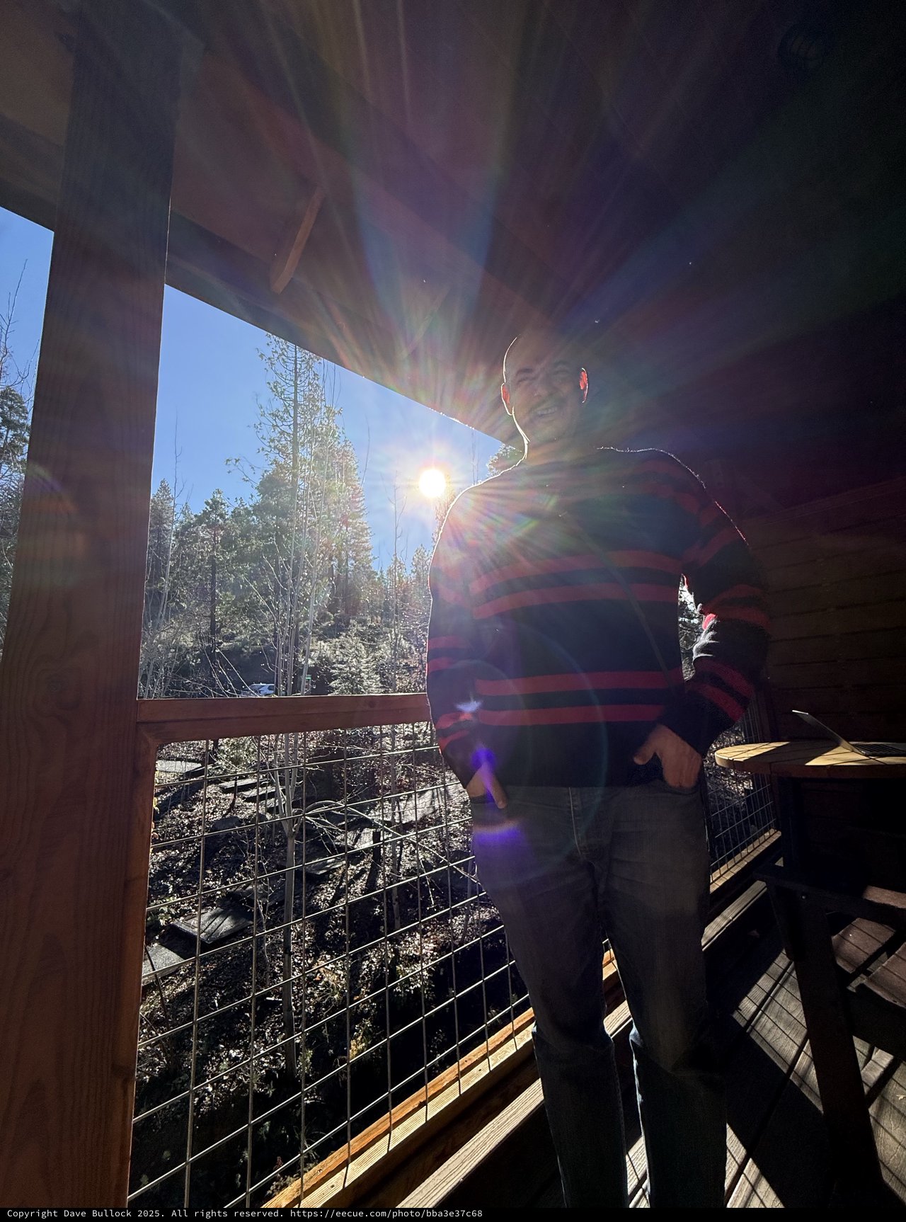 Sun Flare Portrait on Snowy Forest Deck