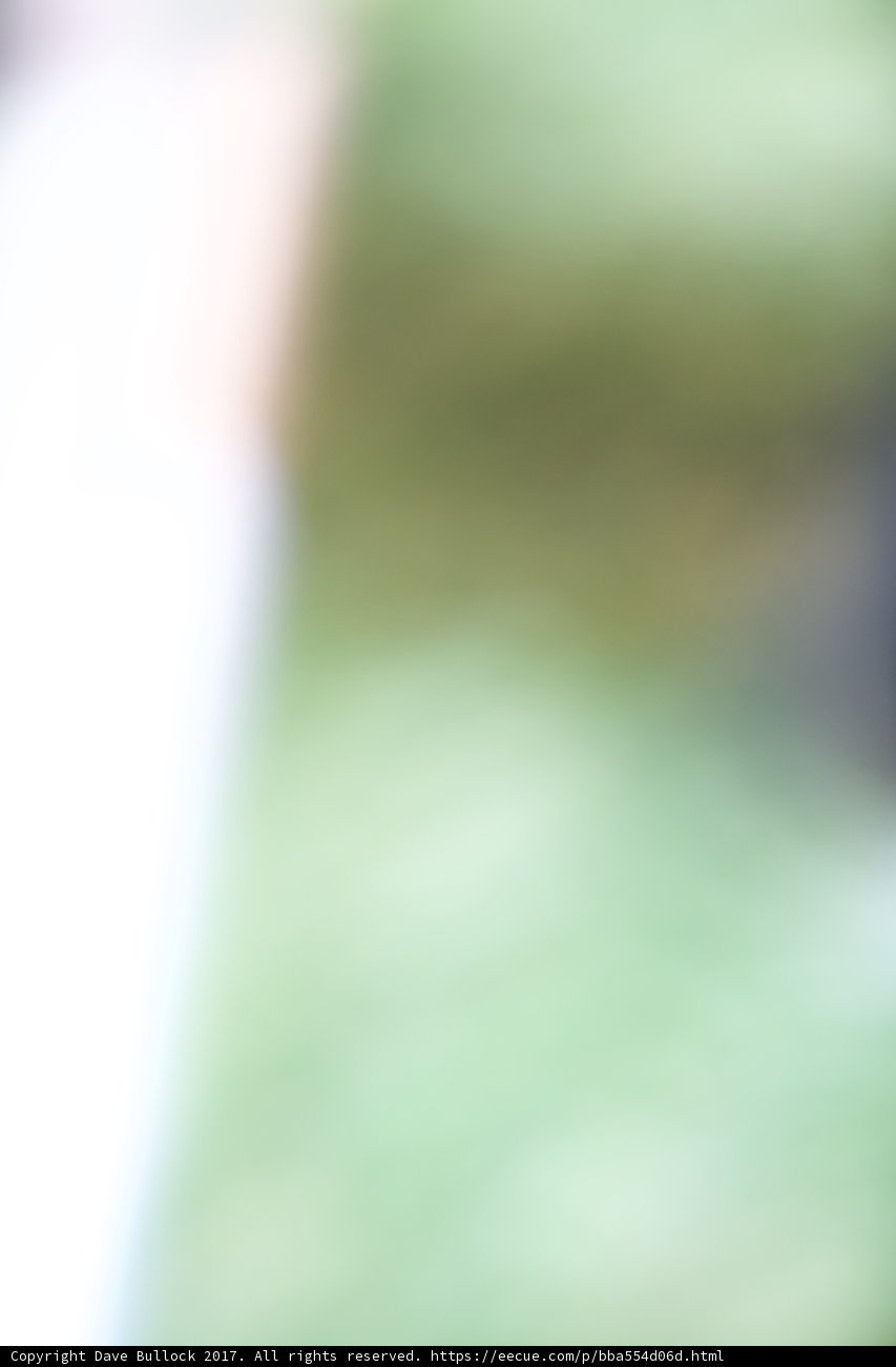 Blurry Frisbee Catches at Coachella