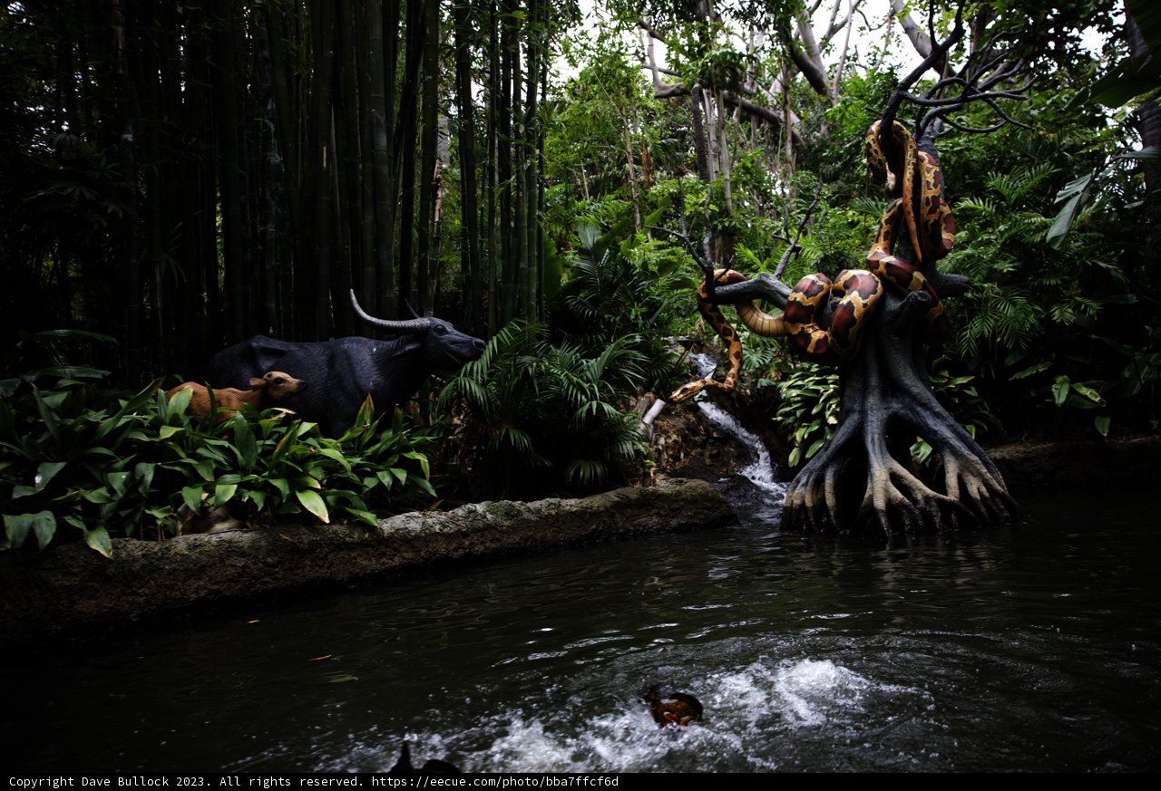 Enchanting Pond Encounter