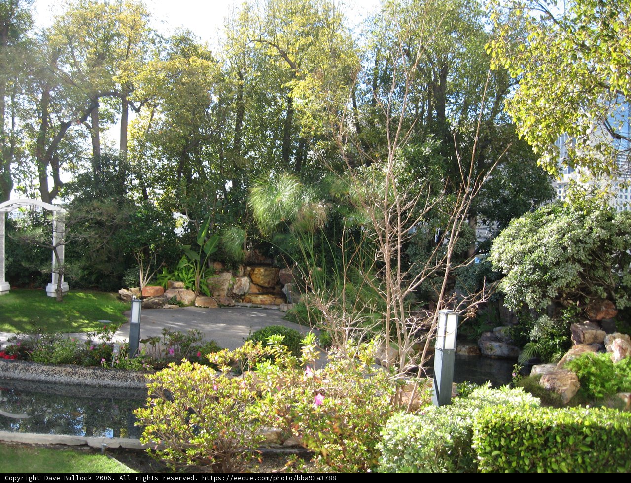 Serene Garden Oasis