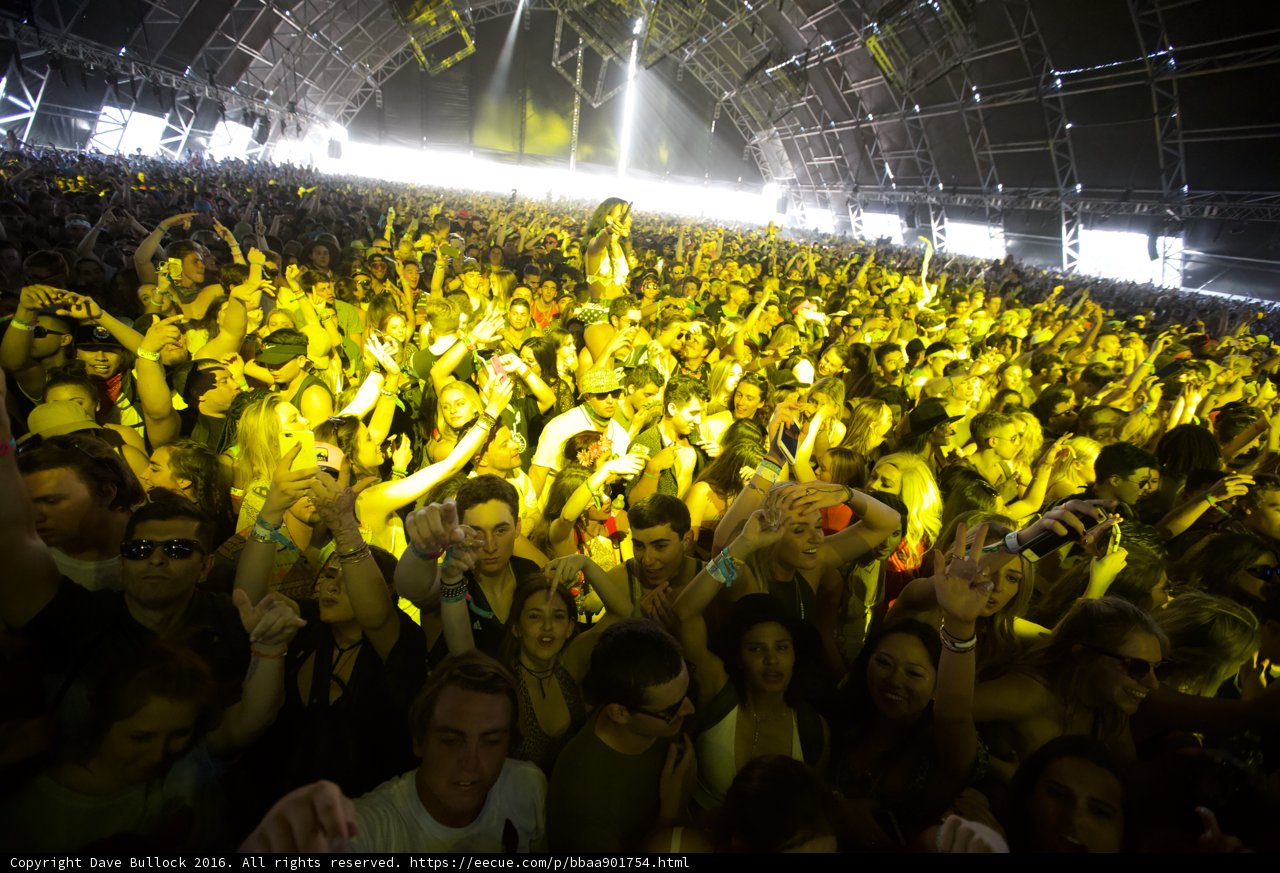 Hands Up at Coachella