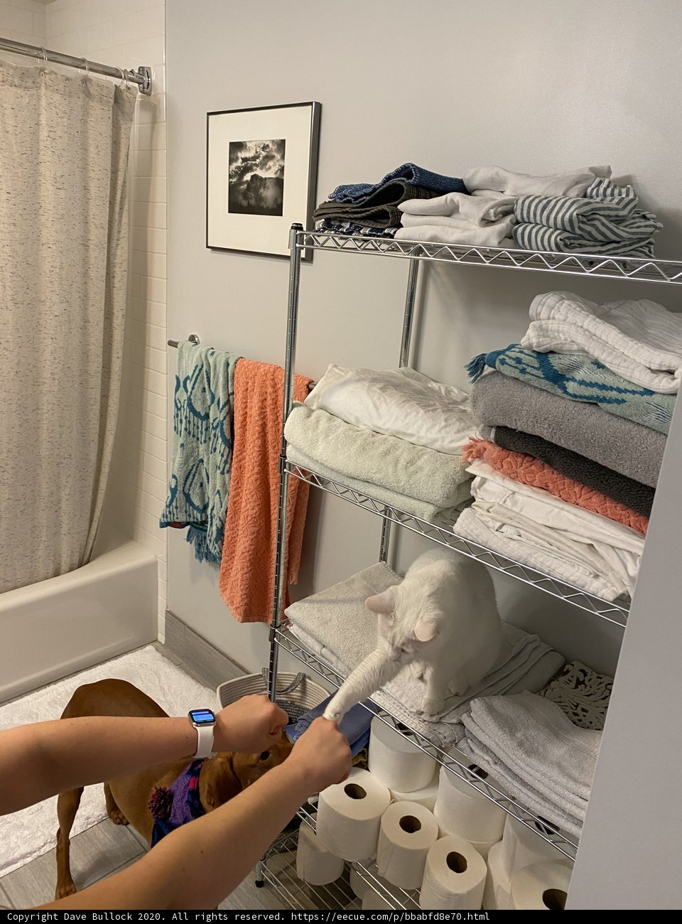 Bathroom Cleaning Buddy