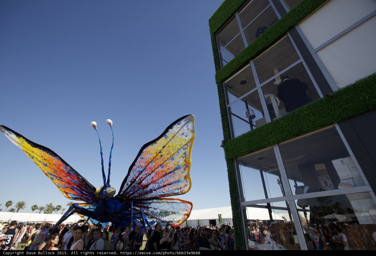 Magnificent Butterfly Sculpture at Coachella