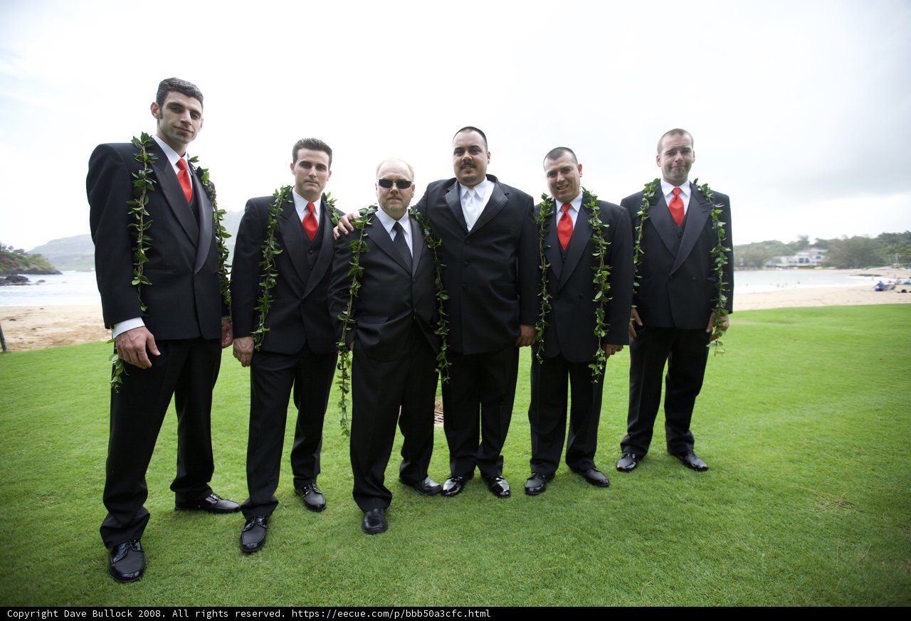 Groomsmen Groupshot on the Grass