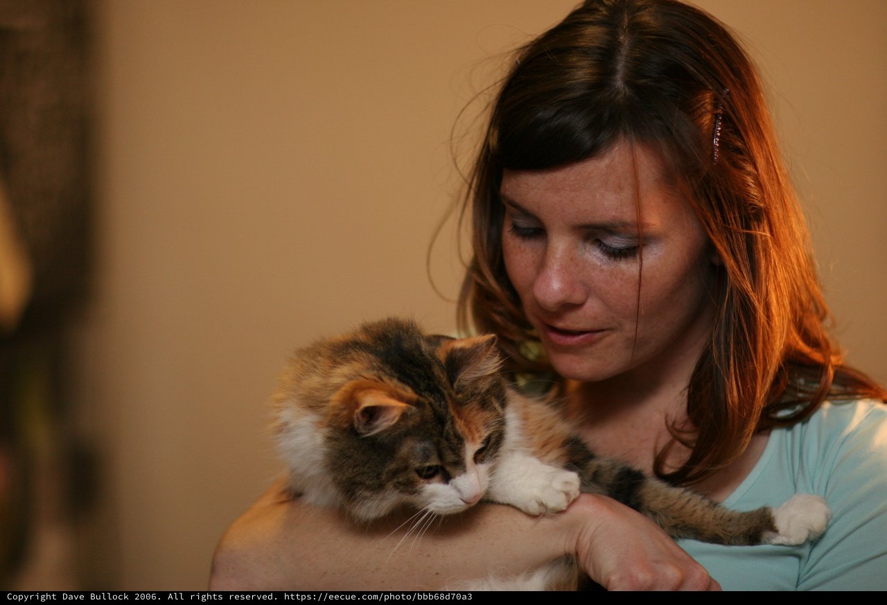 Woman Tenderly Cradling a Calico Kitten Indoors