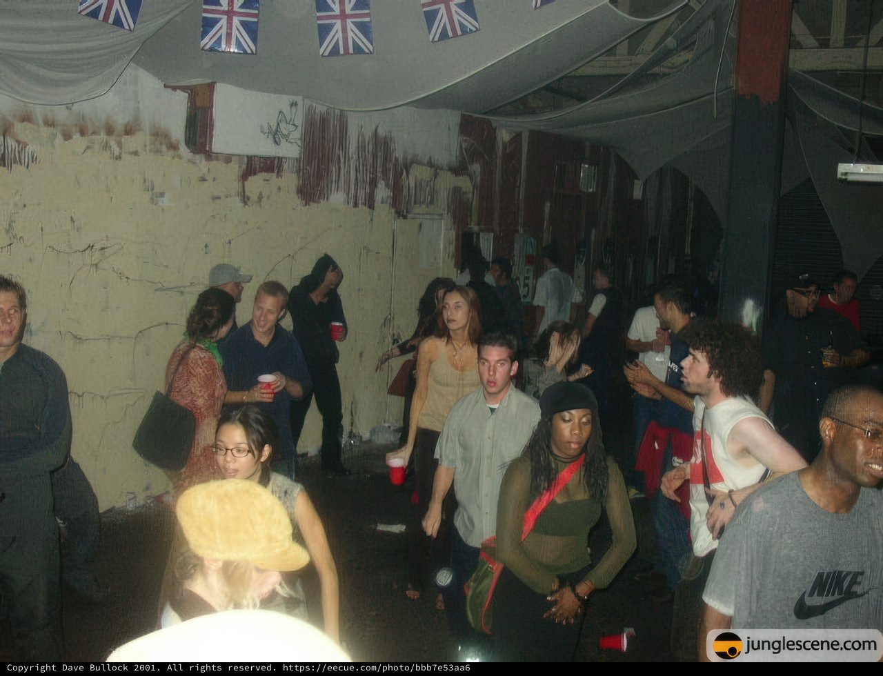Urban Club Night with Flags and Crowds