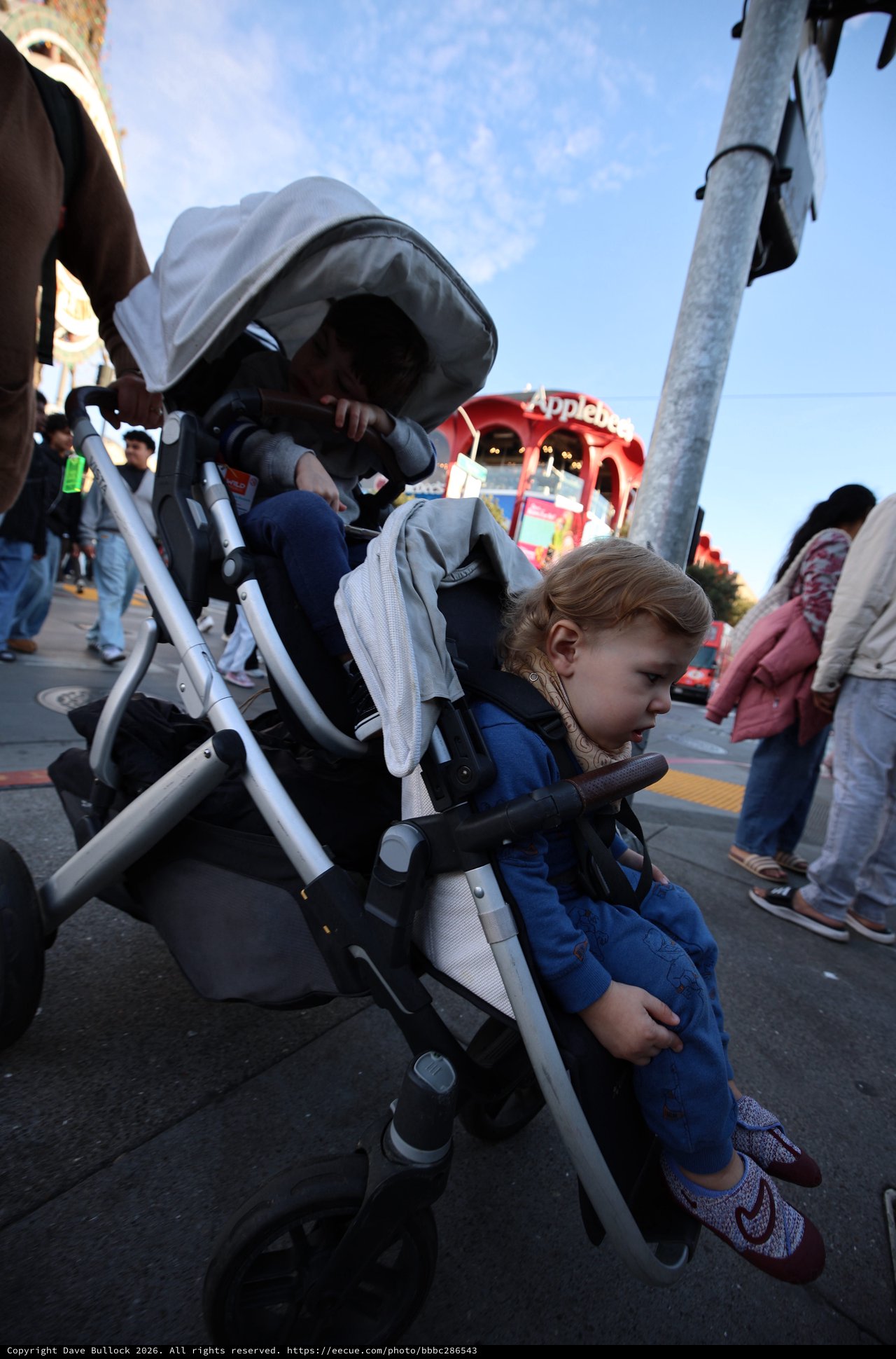 Young Child in Stroller at Evening Street Event