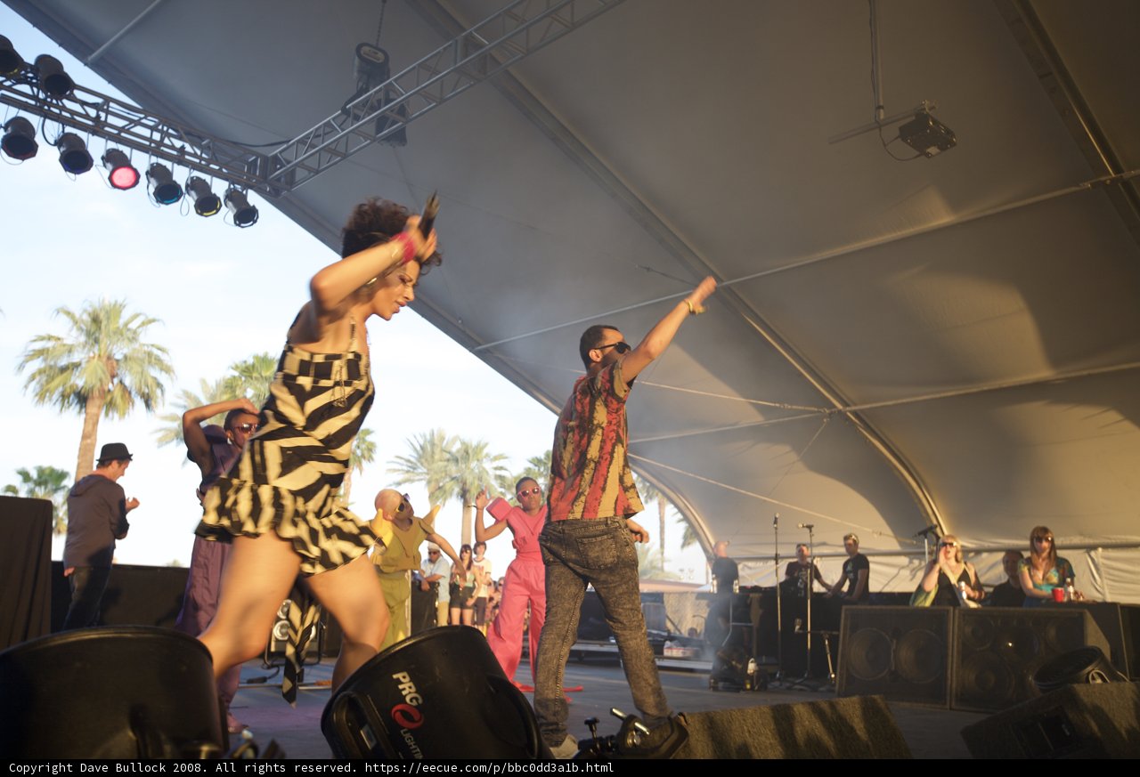 Dancing under the Palm Trees
