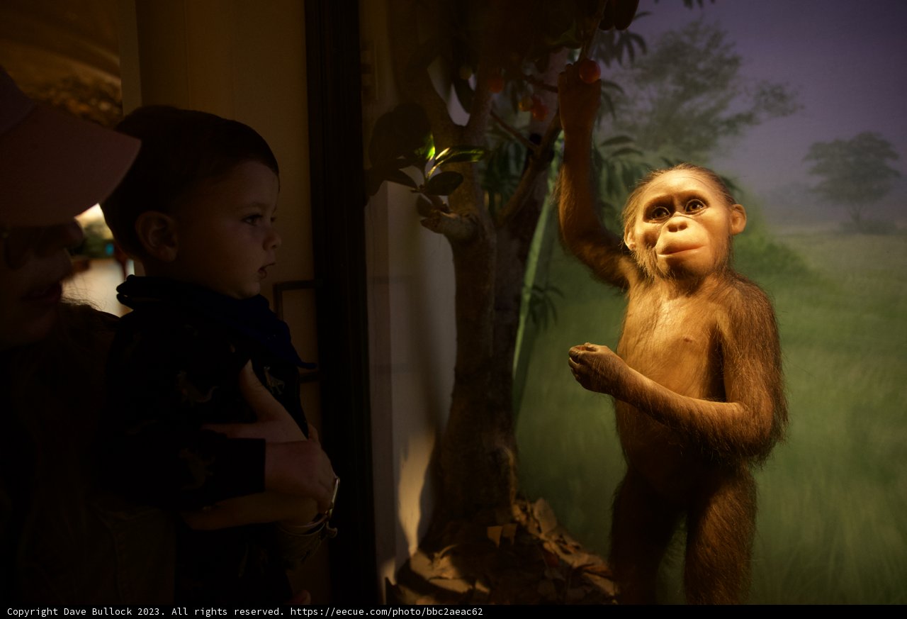 Fascination at the Academy of Sciences