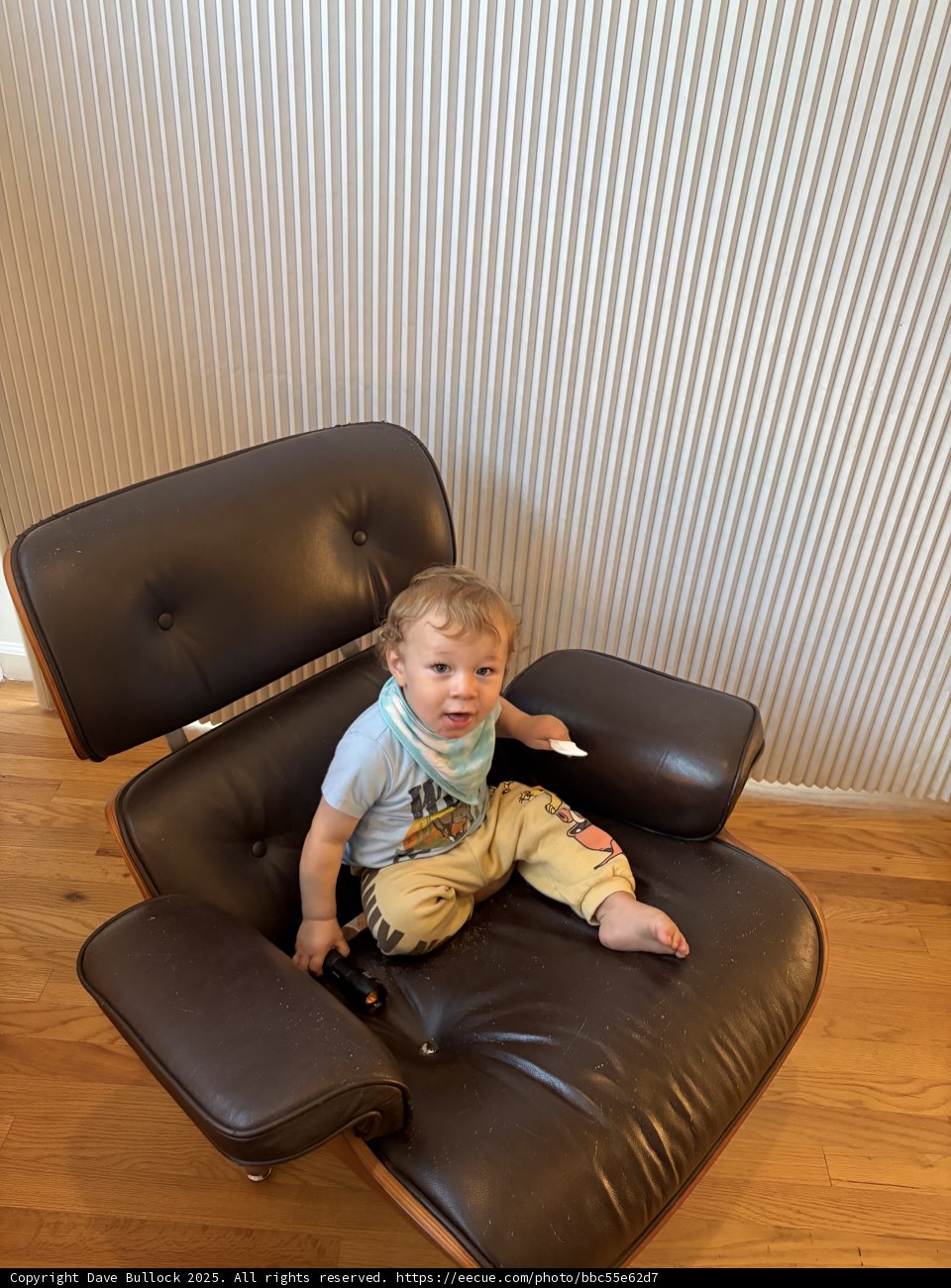 Tiny Explorer in a Big Chair