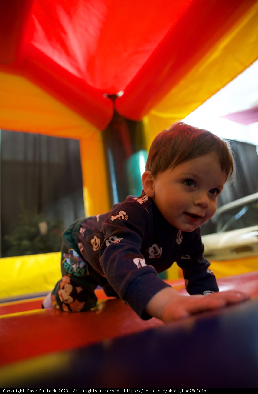 Wesley's Castle Adventure