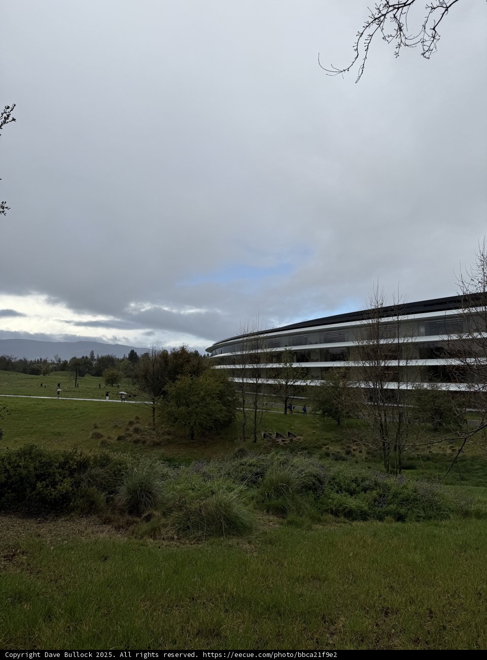 Harmony of Innovation and Nature