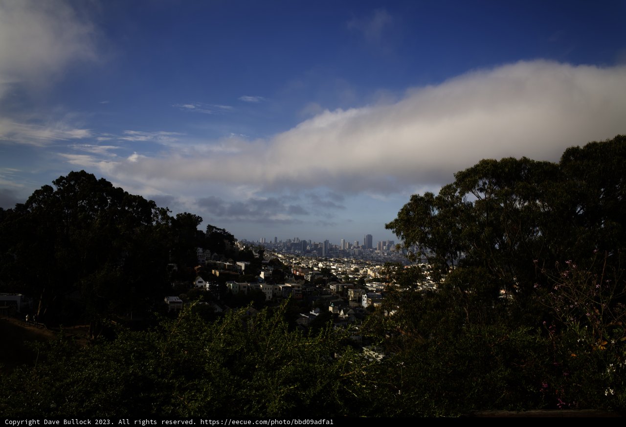 Panoramic Vista of the Urban Jungle