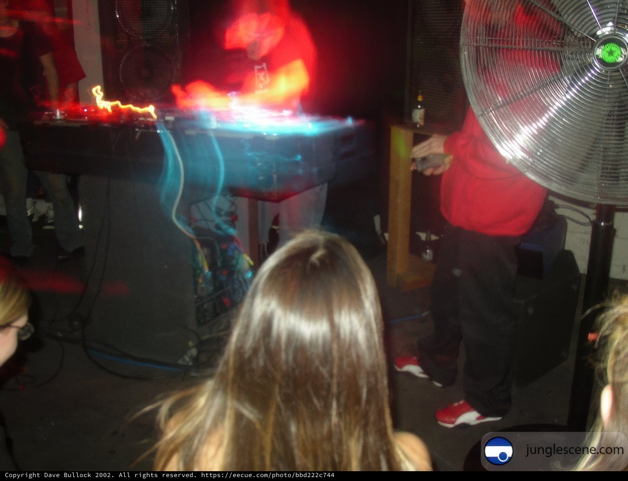 Nightclub fun with friends