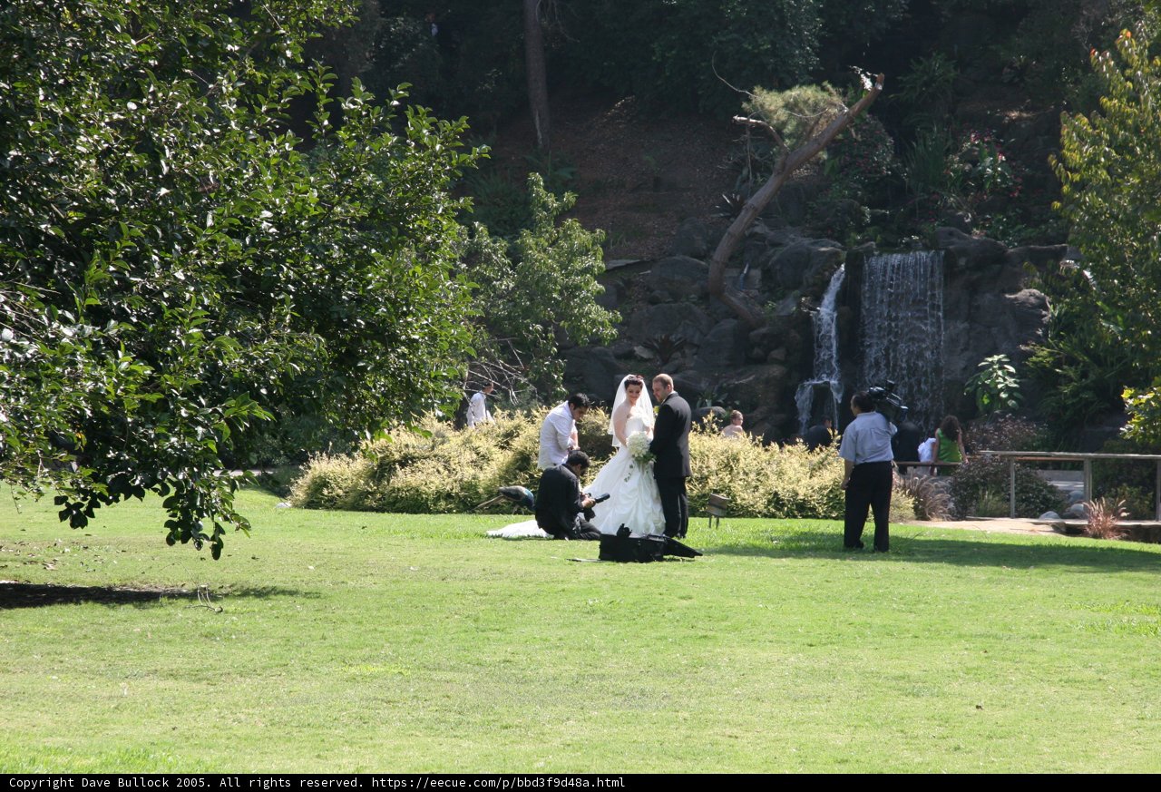 Formal Wedding by the Waterfall