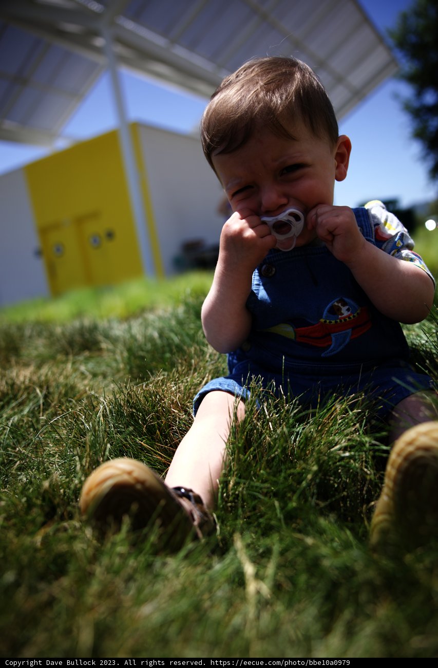 A Baby's Adventure in Nature