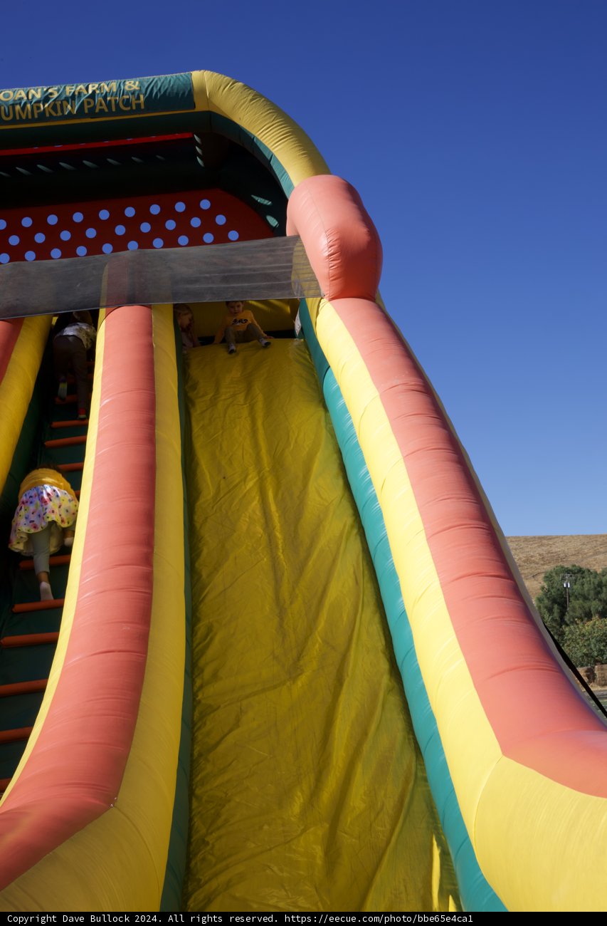 **Sunny Adventures at Walnut Creek**