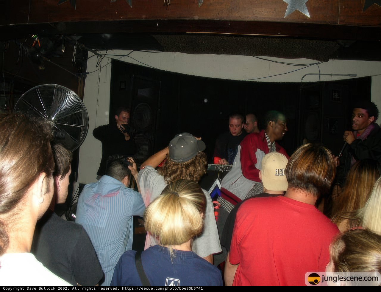 Live Performance at Night Club