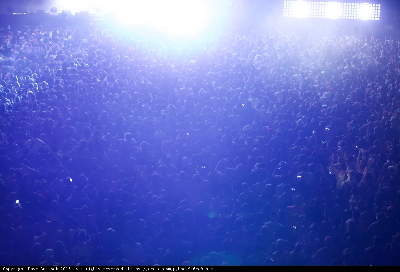 Lights, Crowd, Music