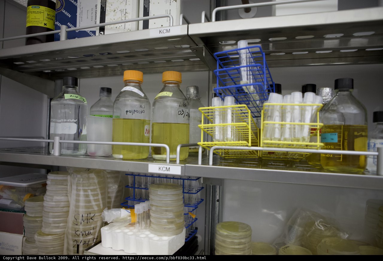 Organized Chaos on the Laboratory Shelf