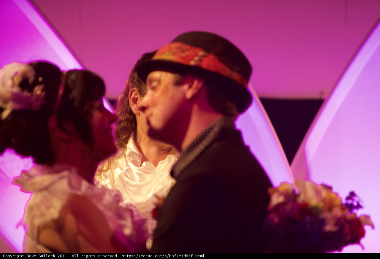 The Wickstrom Wedding Bliss