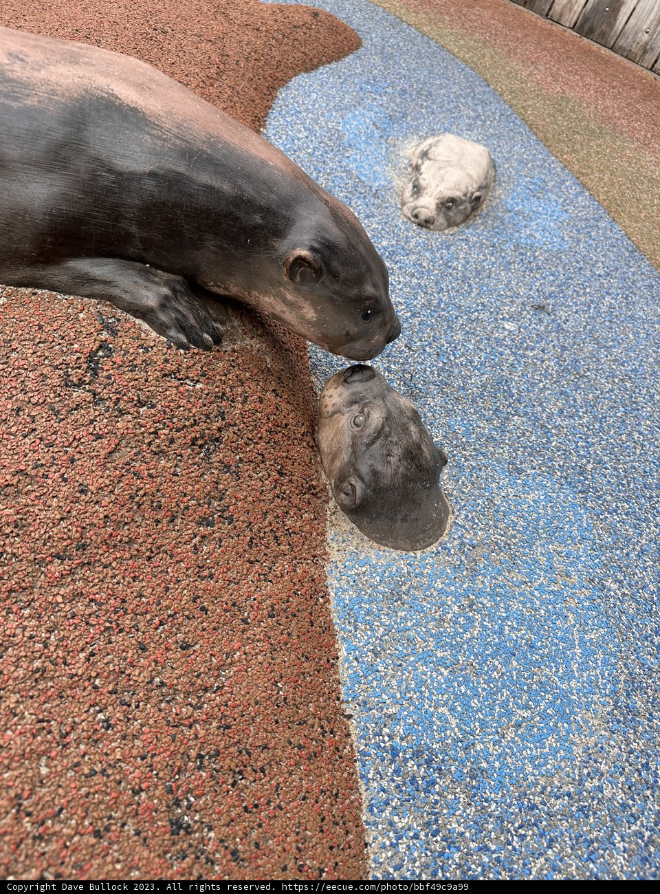 Precious Moments in the Sea World