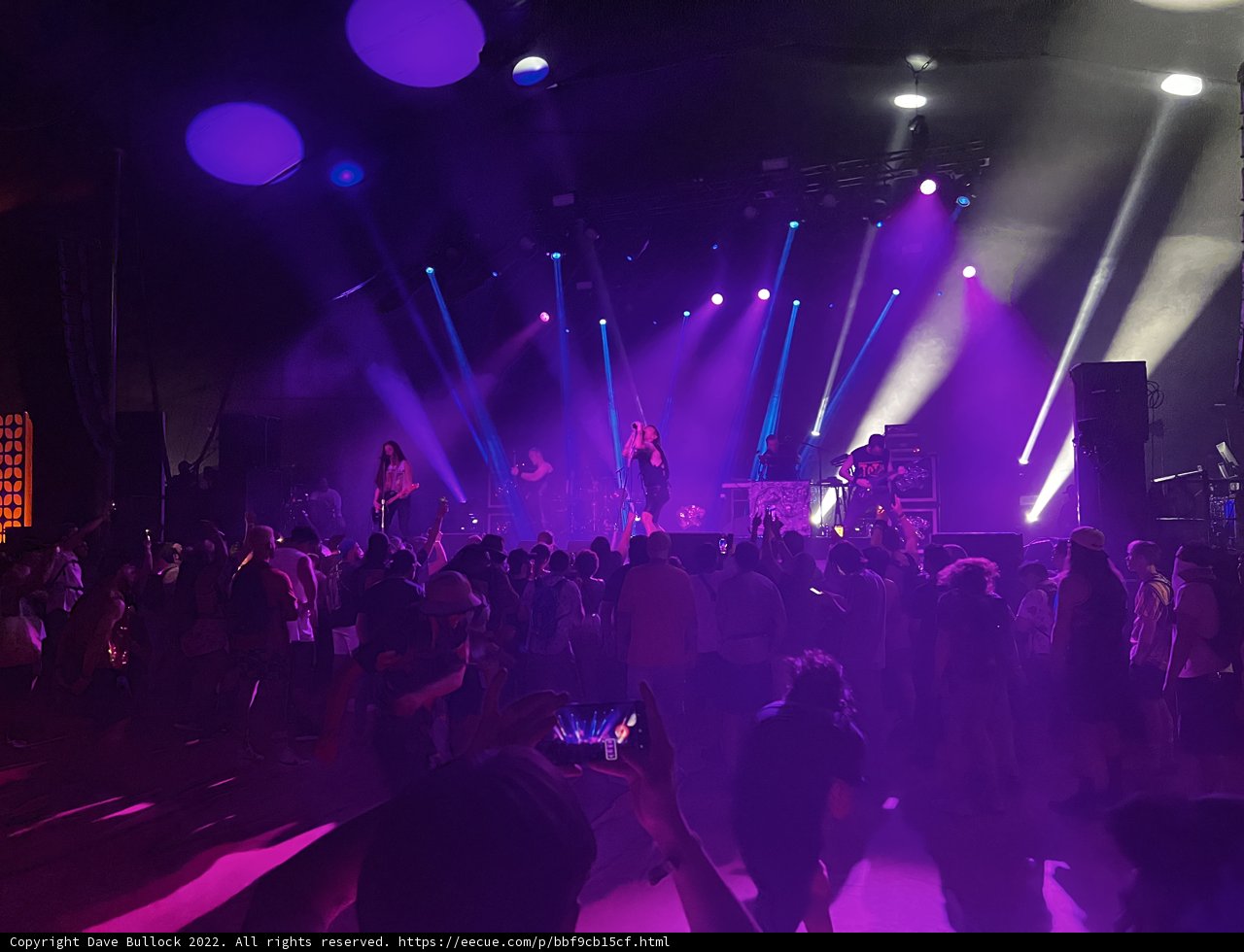 Purple Spotlight on an Energetic Crowd